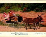 Algerian Donkeys New York Zoological Park new york NY NYC UNP DB Postcar... - $6.29