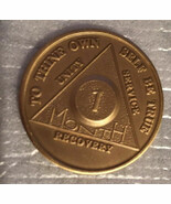 Set of 10 Alcoholics Anonymous 1 Month Recovery Coin Chip Medallion Toke... - $19.59