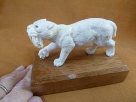 (sab-w6) wild sabertooth Tiger cat made of shed Moose antler figurine Bali - €211,79 EUR