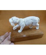 (sab-w6) wild sabertooth Tiger cat made of shed Moose antler figurine Bali - $4,475.77 MXN