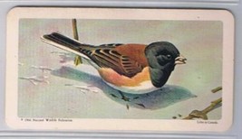 Brooke Bond Red Rose Tea Card #44 Oregon Junco Canadian American Songbirds - £0.78 GBP