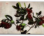 Holly and Berries Branch UNP DB Postcard Z5 - £2.30 GBP