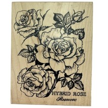 PSX Hybrid Rose Botanical Rubber Stamp Rosaceae Floral Flower K1636 Vintage 1995 - £16.99 GBP