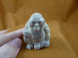 (mon-w2) white Orangutan monkey of shed ANTLER figurine Bali detailed ca... - $153.57