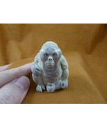 (mon-w2) white Orangutan monkey of shed ANTLER figurine Bali detailed ca... - £120.76 GBP