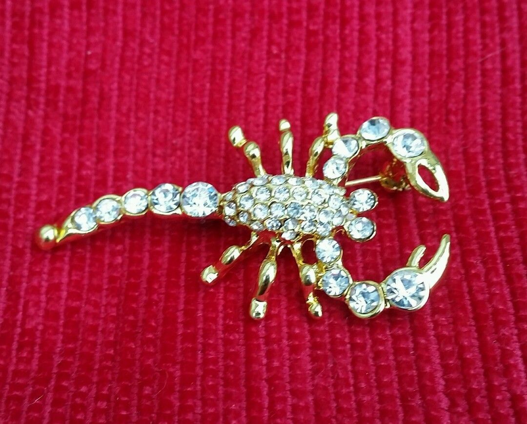 Gold Plated Scorpion Brooch Star Sign Cake Pin - Birth Sign Talisman Protection - £10.73 GBP