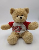 Cheers TV Show Boston 2001 Bear Plush Stuffed Animal 12&quot;  - £7.88 GBP