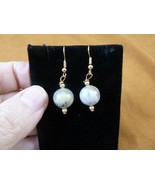 DP1-20g REAL DINOSAUR POOP 12mm bead dangle EARRINGS Utah ancient Dino C... - $18.99