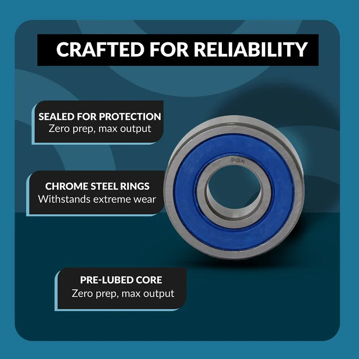 PGN (10 Pack) 6004-2RS Bearing - Lubricated Chrome Steel Sealed Ball Bearing Item image 6