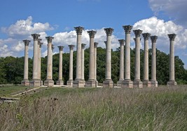 National Capitol Columns at the National Arboretum in Washington DC Phot... - £6.96 GBP+