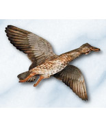 Jackite Mallard Duck Hen Decoy Kite / Windsock - £31.09 GBP