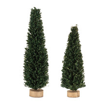Glittered Boxwood Cone Tree (Set of 2) - $63.44