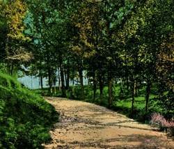 Beauty Spot Trail Near Clarion PA Pennsylvania 1916 Postcard - £3.05 GBP