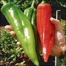 25 Seeds New Mexico Big Jim Peppers Vegetables Planting Usa Seller - £7.19 GBP