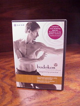 Budokon Beginning Practice DVD, Used, with Cameron Shayne, from GAIAM, 2004 - £6.35 GBP