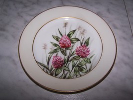 1876-1881 CFH Charles Field Haviland Decorative Desert Dish Plate (Clover) 7.5W - £11.99 GBP