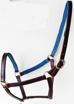 Horse English Padded Leather  PONY Western  Show Halter Blue 803H209BLPCH - $31.67
