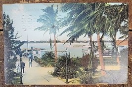 Dock at Palm Beach, Florida - Florida Artistic Series - 1907-1915 Postcard - £3.40 GBP