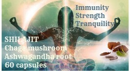 Shilajit, Ashwagandha, Chaga   Immunity Strength Tranquillity 120 caps - £13.50 GBP