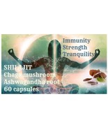 Shilajit, Ashwagandha, Chaga   Immunity Strength Tranquillity 120 caps - $17.09