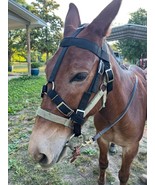 Mule Bridle Handmade. Solid Construction. USA Made - £55.52 GBP