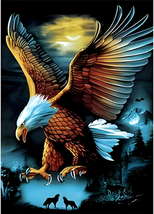 Eagle Diamond Painting Kits for Adults, 5D Eagle Diamond Painting by Numbers Kit - £14.32 GBP