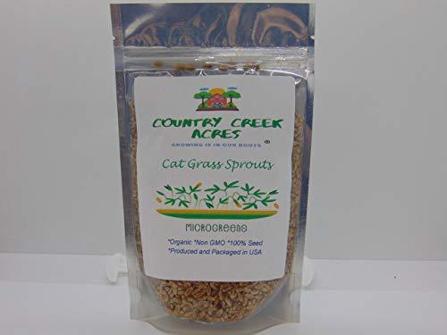 13 oz Cat Grass Seeds - Hard Red Wheat- Wheatgrass Non GMO - Country Creek Acres