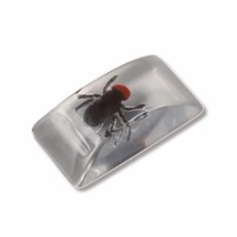 Bug In Ice Cube - $5.93