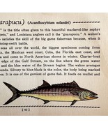 Wahoo 1939 Salt Water Fish Gordon Ertz Color Plate Print Antique PCBG19 - $41.01 CAD
