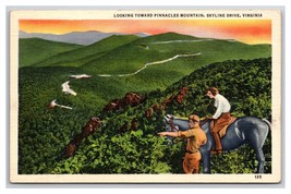 Pinnacles Mountain Skyline Drive Virginia VA UNP Linen Postcard N25 - £2.28 GBP