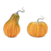 Foam Pumpkin and Gourd Decor (Set of 2) - $70.51 CAD