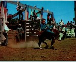 Junior Cowboys Belle Fourche Rotondo Up South Dakota SD Unp Cromo Cartol... - £8.15 GBP