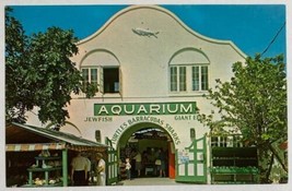 The Aquarium in Key West,Florida Many Fish Specimens Chrome Postcard - £10.54 GBP