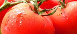 HeirloomSupplySuccess 50 Heirloom Homestead 24 Tomato Seeds - $3.99