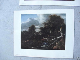 Vintage Print Jacob Van Ruisdael Forest Scene LOOK - £17.20 GBP