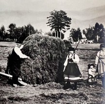 Norway Farm Haystacking Horse Photograph Folk Life Agriculture c1900-1920s E9 - £31.28 GBP