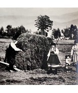 Norway Farm Haystacking Horse Photograph Folk Life Agriculture c1900-192... - £31.26 GBP