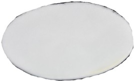 Generic Dyson DC04, 05, 08 Post Motor Pad Filter - $6.94 CAD