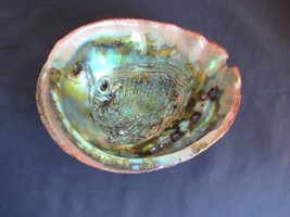 Iridescent  Seashell large 8 1/4&quot; x 6 1/2&quot; Red Abalone Mother Of Pearl  ... - £44.67 GBP
