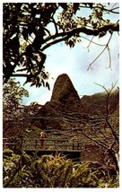 Iao Needle on the Island of Maui Hawaii Postcard - £4.67 GBP