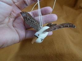 TNE-BIR-FR-292c) little Frigate Man war pirate bird ornament TAGUA NUT f... - $36.45