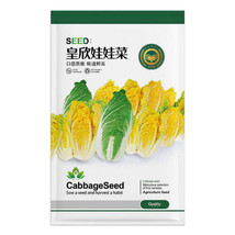 Jingyan® Goldenheart Baby Cabbage 6 grams Seeds FRESH SEEDS - £9.58 GBP