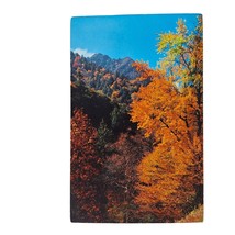 Postcard Gorgeous Fall Colors Great Smoky Mountains National Park Chrome - $6.92