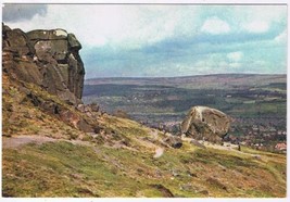 United Kingdom UK Postcard Ilkley Yorkshire Cow &amp; Calf Rocks Rombald&#39;s Moor - £2.37 GBP