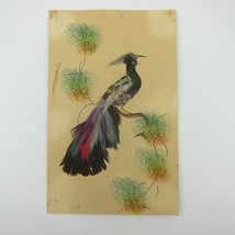 Postcard Bird Real Feathers 3D Handmade Mexico Painted Background Antiqu... - $19.99