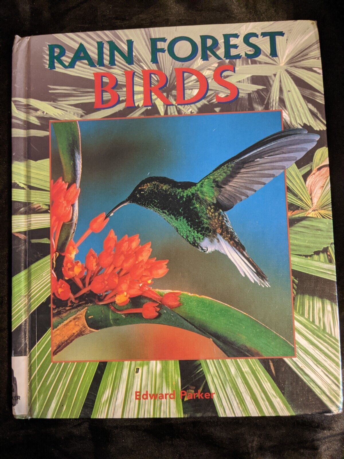 Birds Hardcover Edward Parker - $6.92