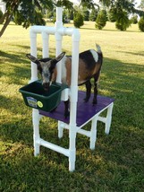 Goat Milking Stand Nigerian Dwarf Pygmy Milk Hoof Trim Shear Weighs Only 25 lbs - £278.09 GBP