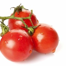 175 Large Red Cherry Tomato Heirloom Garden Vegetable Seeds - £14.31 GBP