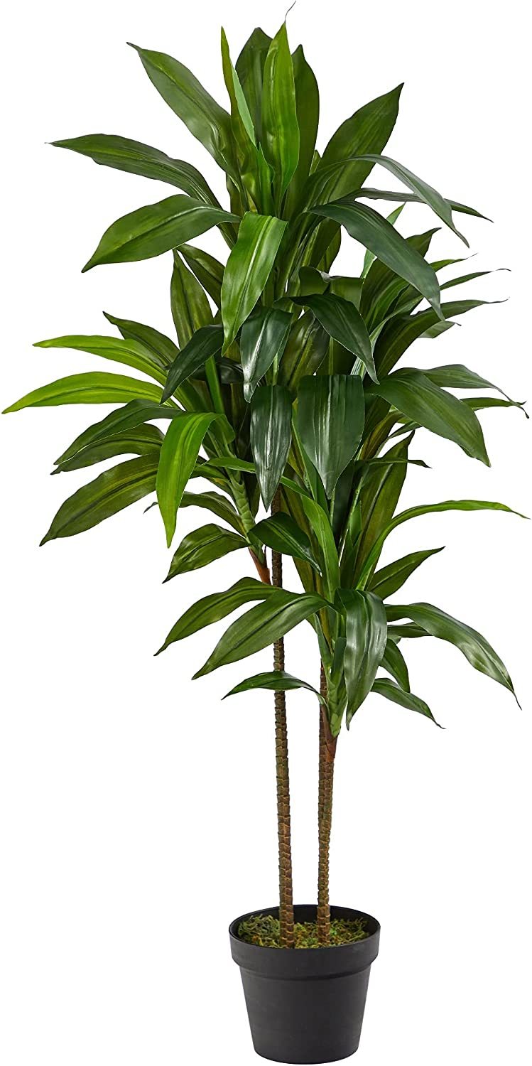 Dracaena Silk (Real Touch) Artificial Plant That Is Nearly Natural-Looking And - £41.73 GBP