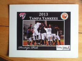 2013 Tampa Bay Yankees Pinstripe Pride Team Photo - £2.36 GBP
